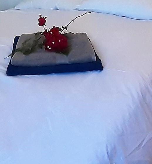 Casa Loro Loco B&B Pedralba Εξωτερικό φωτογραφία